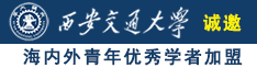 大几把插逼视频网站免费观看诚邀海内外青年优秀学者加盟西安交通大学